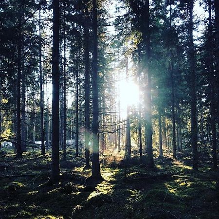 Ruth & Iris Farmhouse Nässjö エクステリア 写真