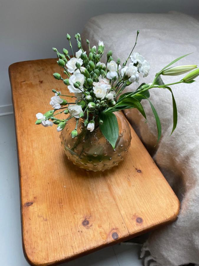 Ruth & Iris Farmhouse Nässjö エクステリア 写真