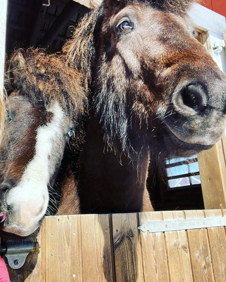 Ruth & Iris Farmhouse Nässjö エクステリア 写真